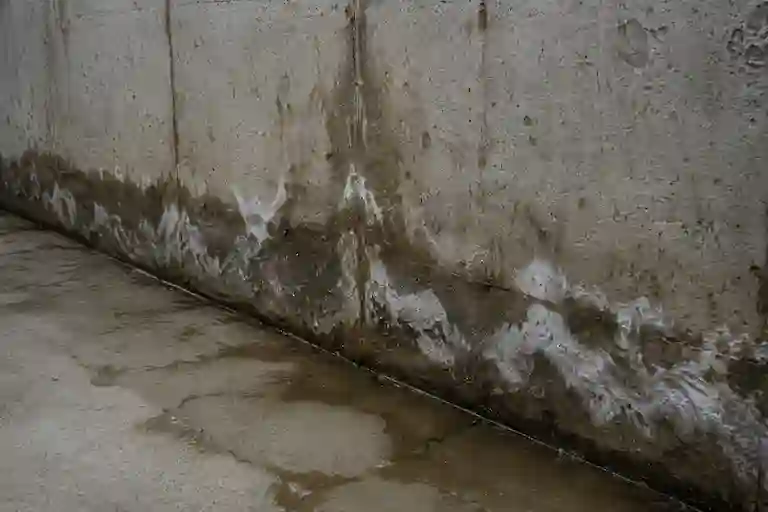 Water intrusion and seepage along basement foundation wall during waterproofing inspection