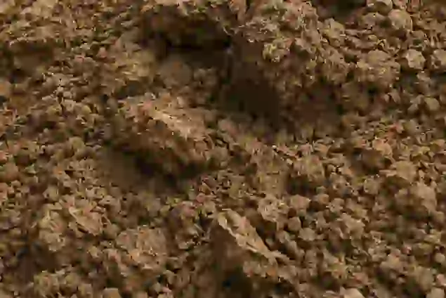 Dense clay-heavy backfill soil beside an Ontario foundation retaining groundwater and increasing hydrostatic pressure