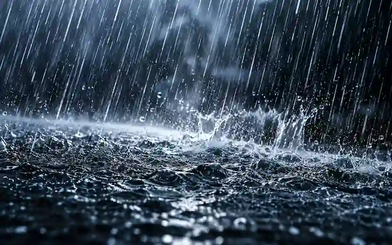 ontario window well and drain heavy rainfall 2026 09 14